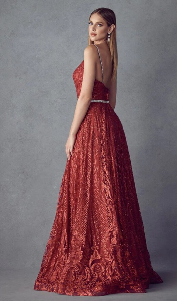 Illusion Deep V-Neck Embroidered Spaghetti Straps Glittery Long Evening & Prom Dress