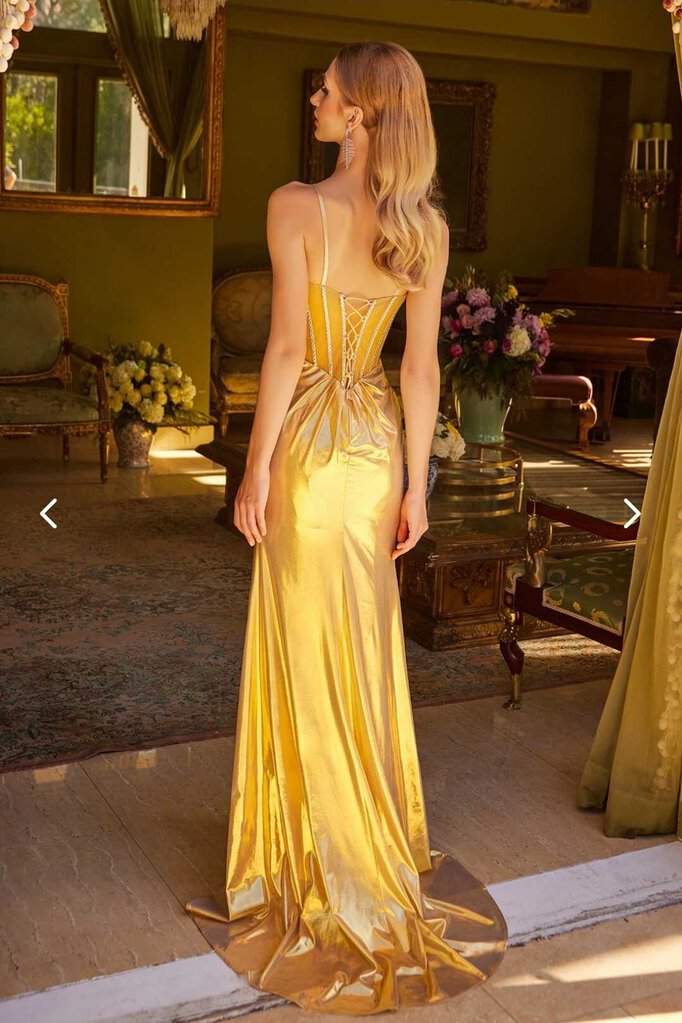 V-neckline corset bodice dress