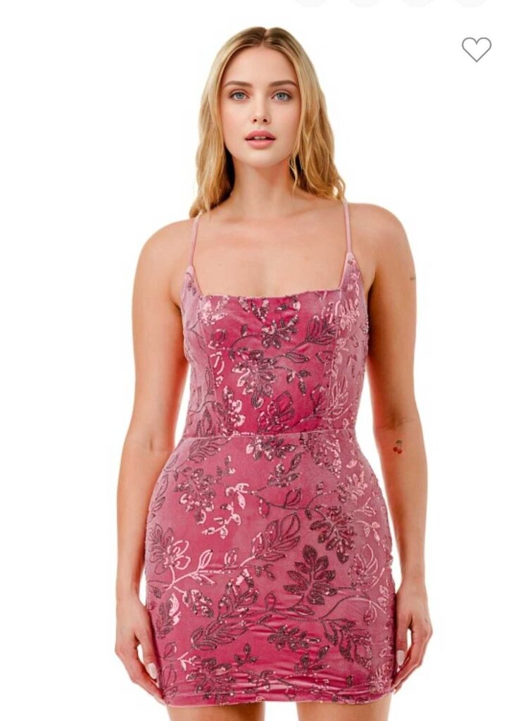 Velvet Sequin Bodycon Mini Dress