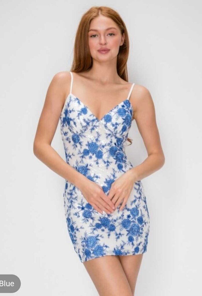 Embroidered Chiffon Tie Back Mini