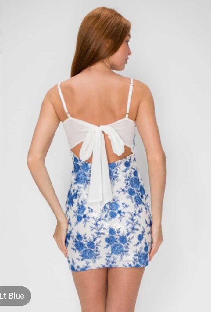 Embroidered Chiffon Tie Back Mini