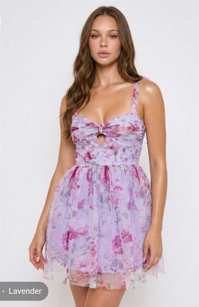 Floral Print On Mesh Bow On Bust Mini Dress