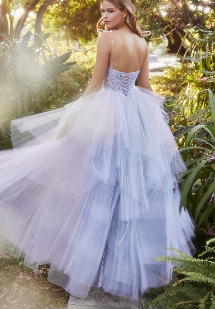 Ladivine PERRY PLISSE RUFFLE GOWN