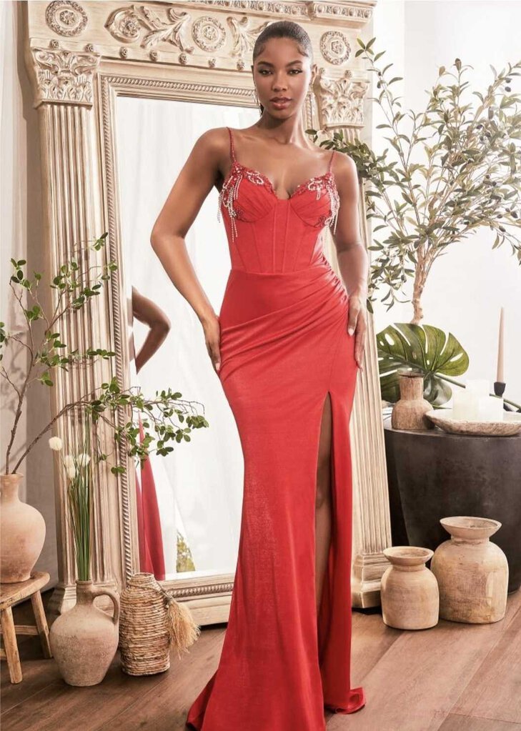 IRIDESCENT FITTED GOWN WITH EMBELLISHED DETAILS