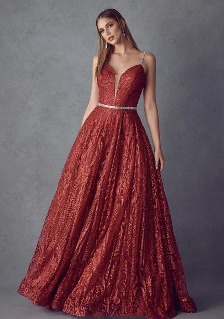 Illusion Deep V-Neck Embroidered Spaghetti Straps Glittery Long Evening & Prom Dress