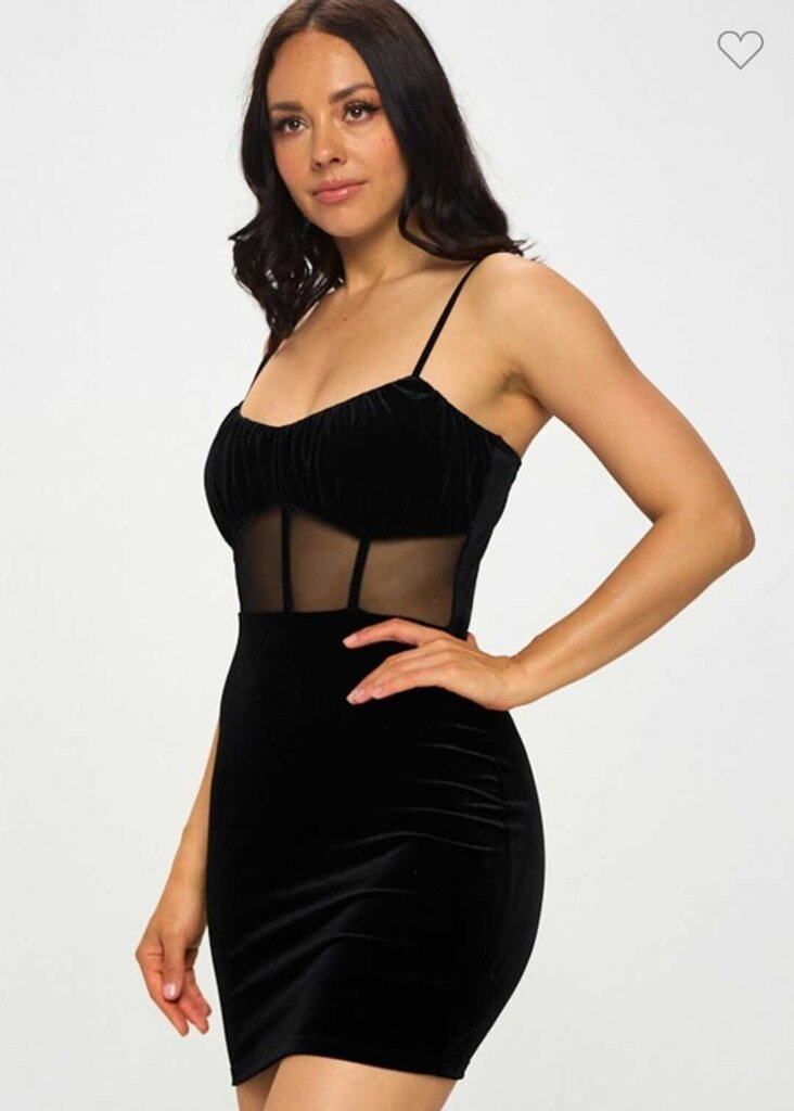Velvet Sheer Corset Bodycon Mini Dress