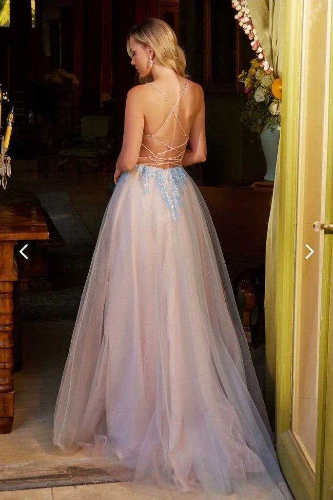 Glitter Sequin Sheer Corset Bodice Mesh A-line Long Dress