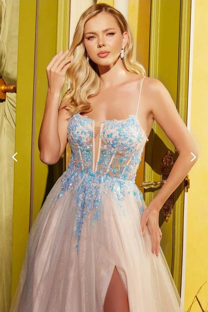 Glitter Sequin Sheer Corset Bodice Mesh A-line Long Dress
