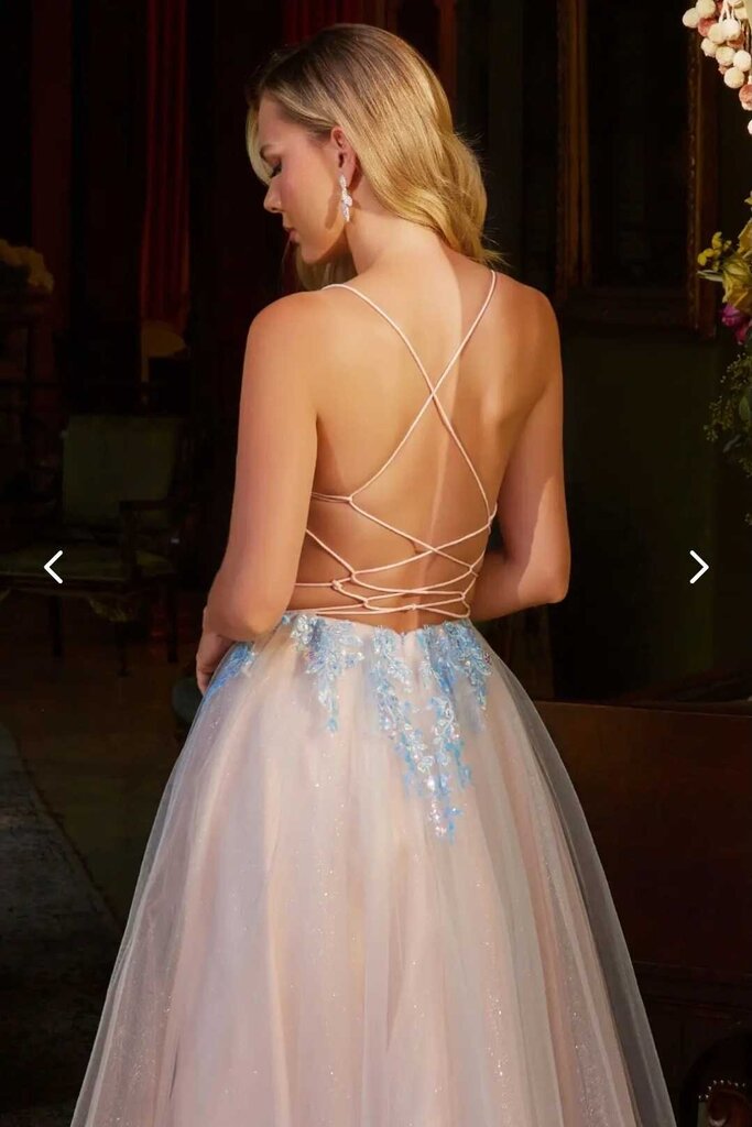 Glitter Sequin Sheer Corset Bodice Mesh A-line Long Dress