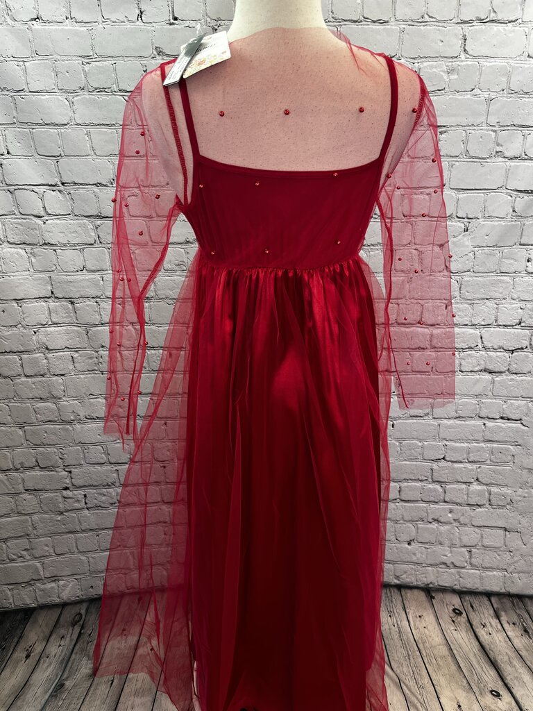 NWT Beaded Sleeve Dress