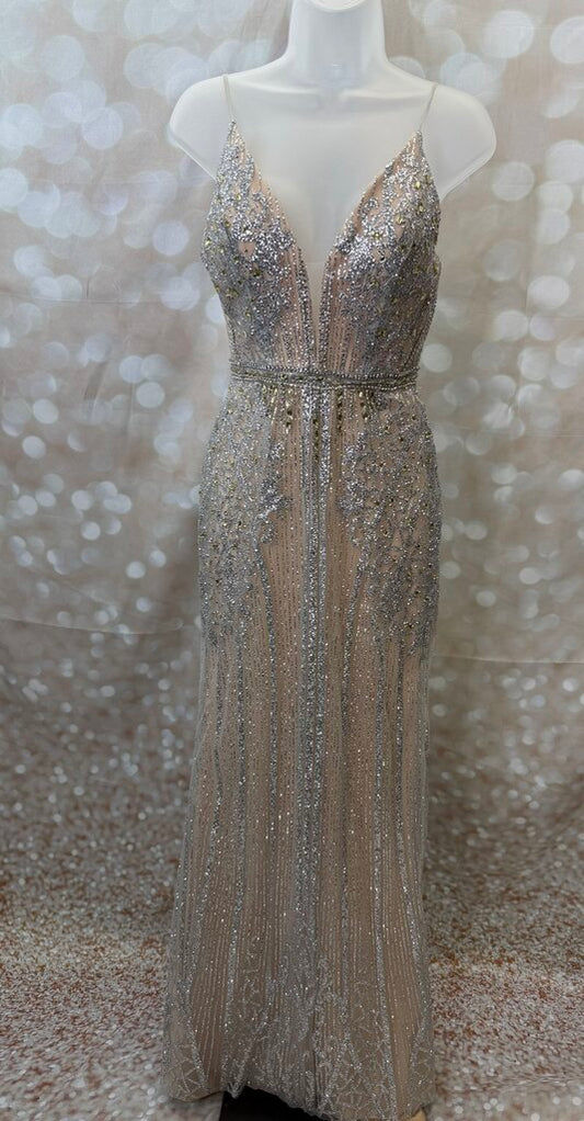Silver Sparkle Dress AS IS (used)
