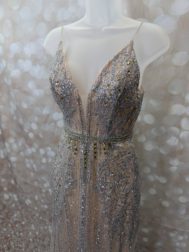 Silver Sparkle Dress AS IS (used)