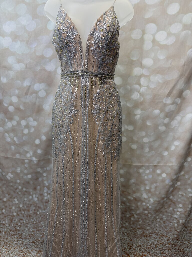 Silver Sparkle Dress AS IS (used)
