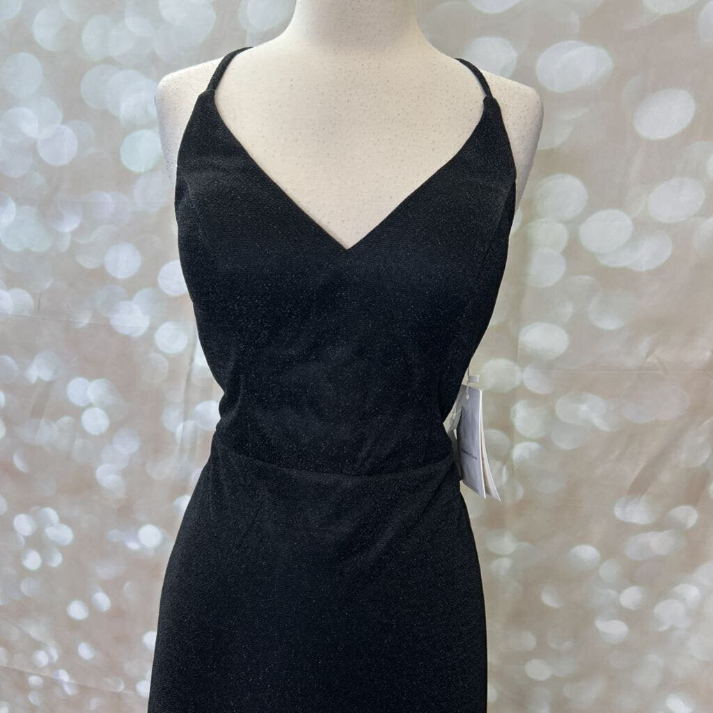 sparkly long straight NWT