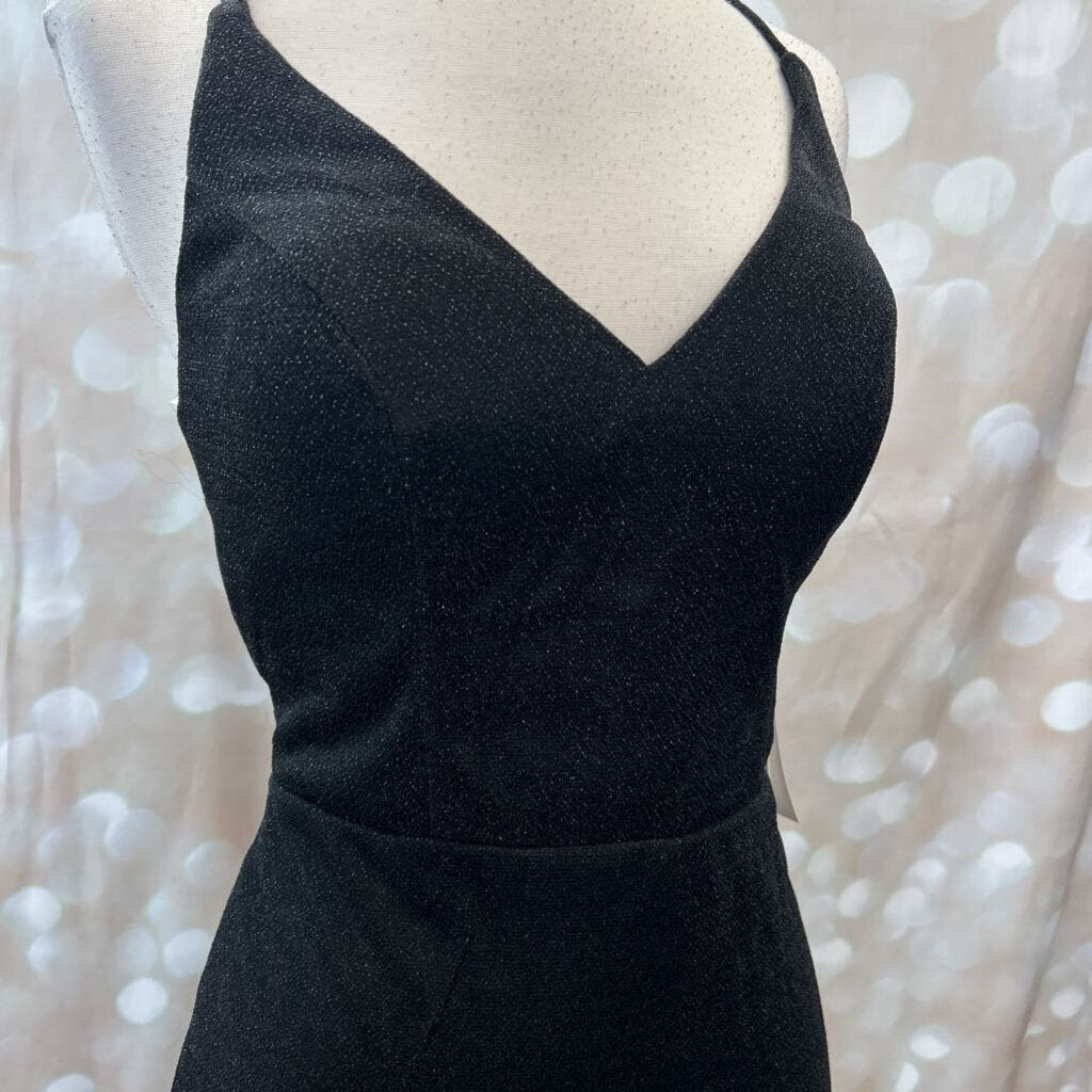 sparkly long straight NWT