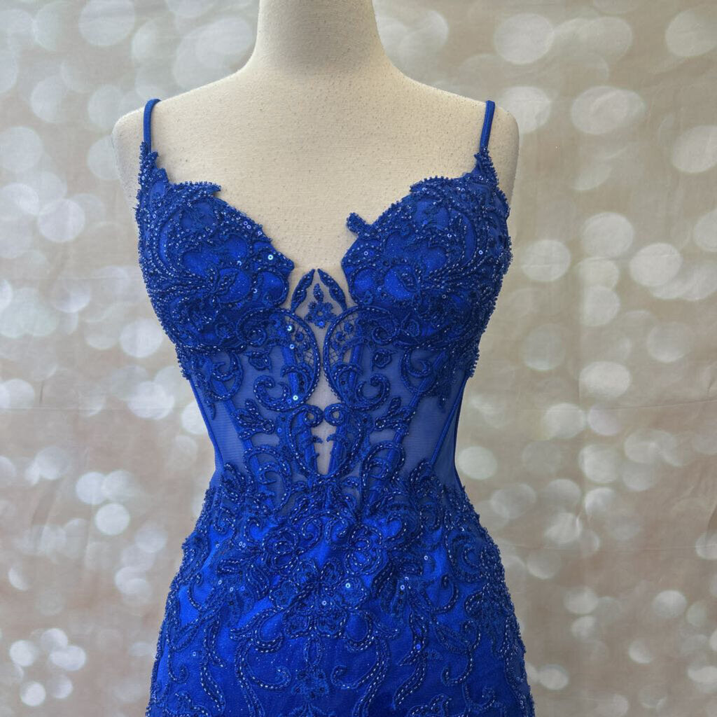 Glitter And Lace Mermaid Gown Dress