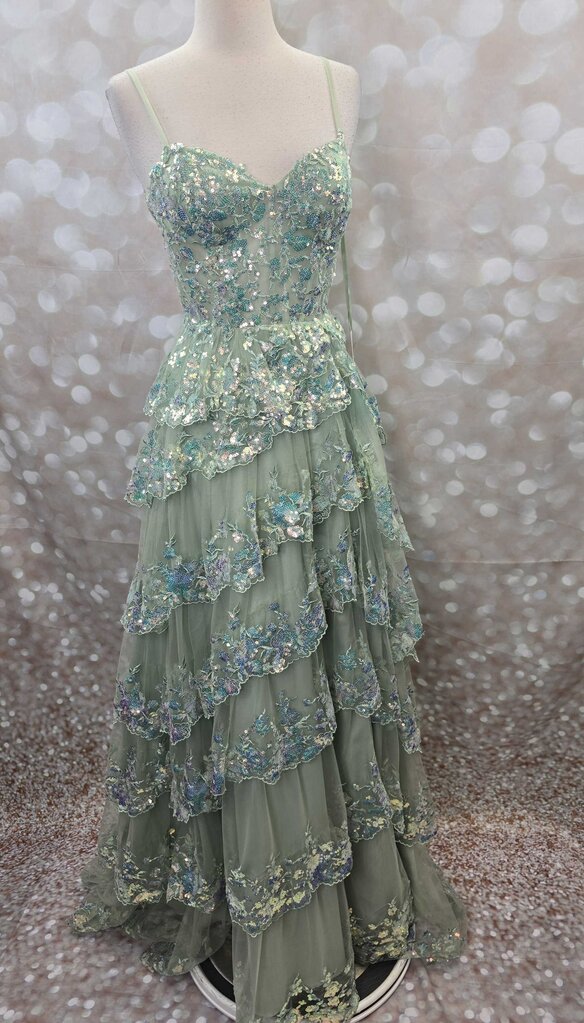 NWT Sequin Ruffle Dress