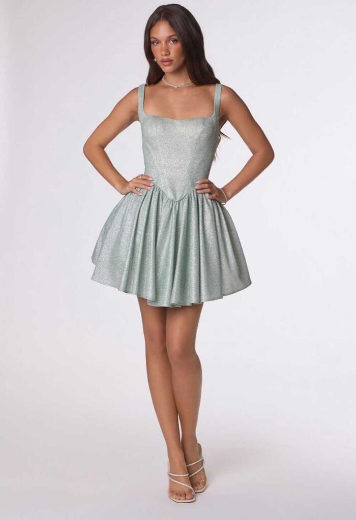 Sculpted bodice fit-and-flare mini dress