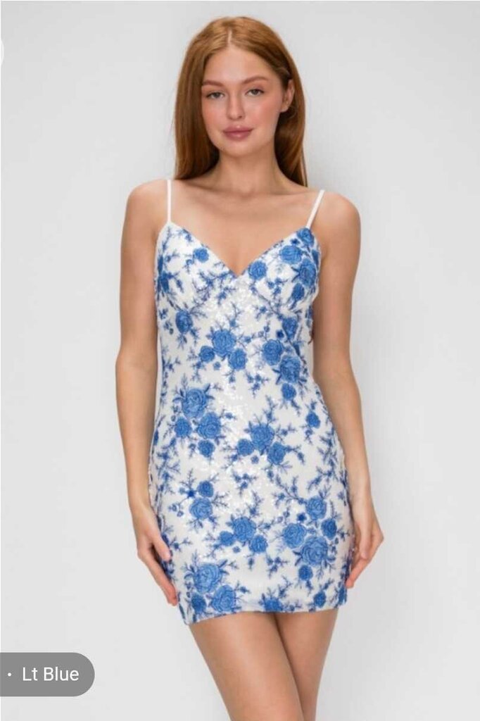 Embroidered Chiffon Tie Back Mini
