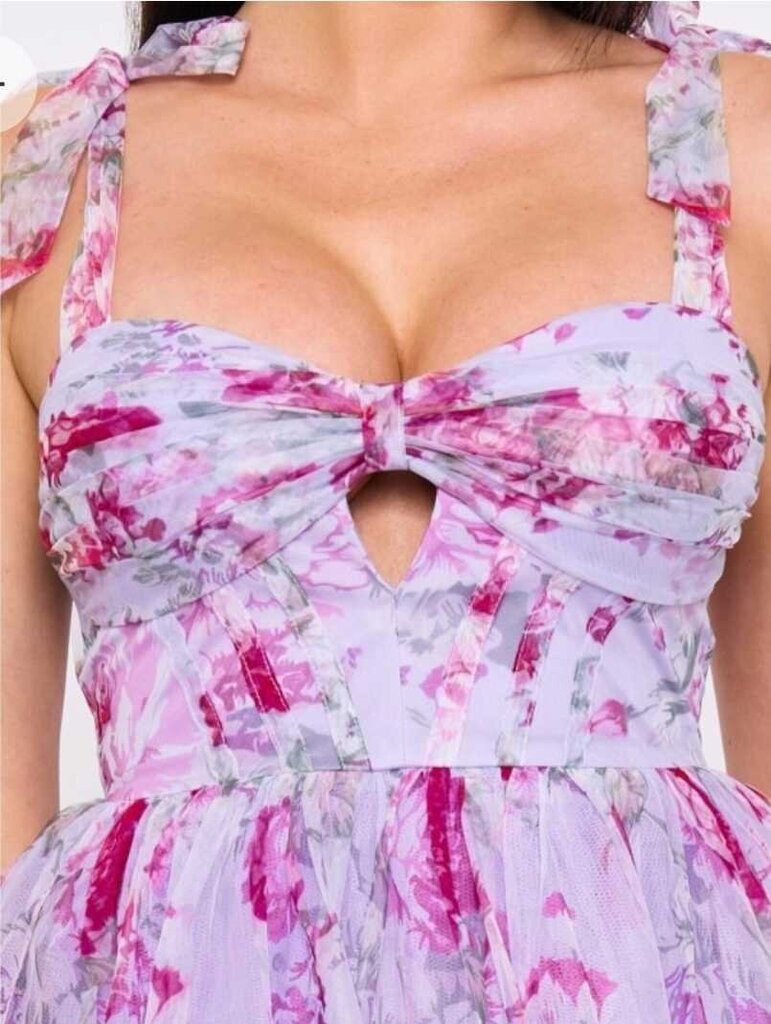 Floral Print On Mesh Bow On Bust Mini Dress