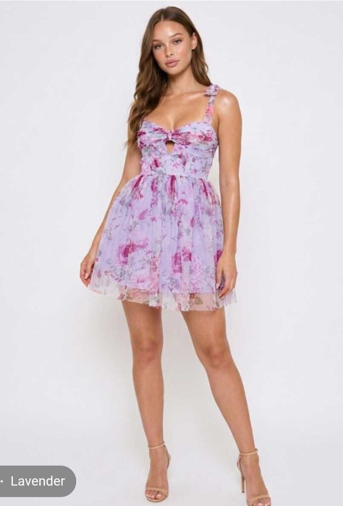 Floral Print On Mesh Bow On Bust Mini Dress