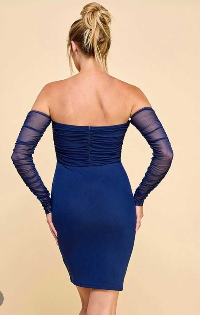 Ruched Long Sleeve Mini Dress