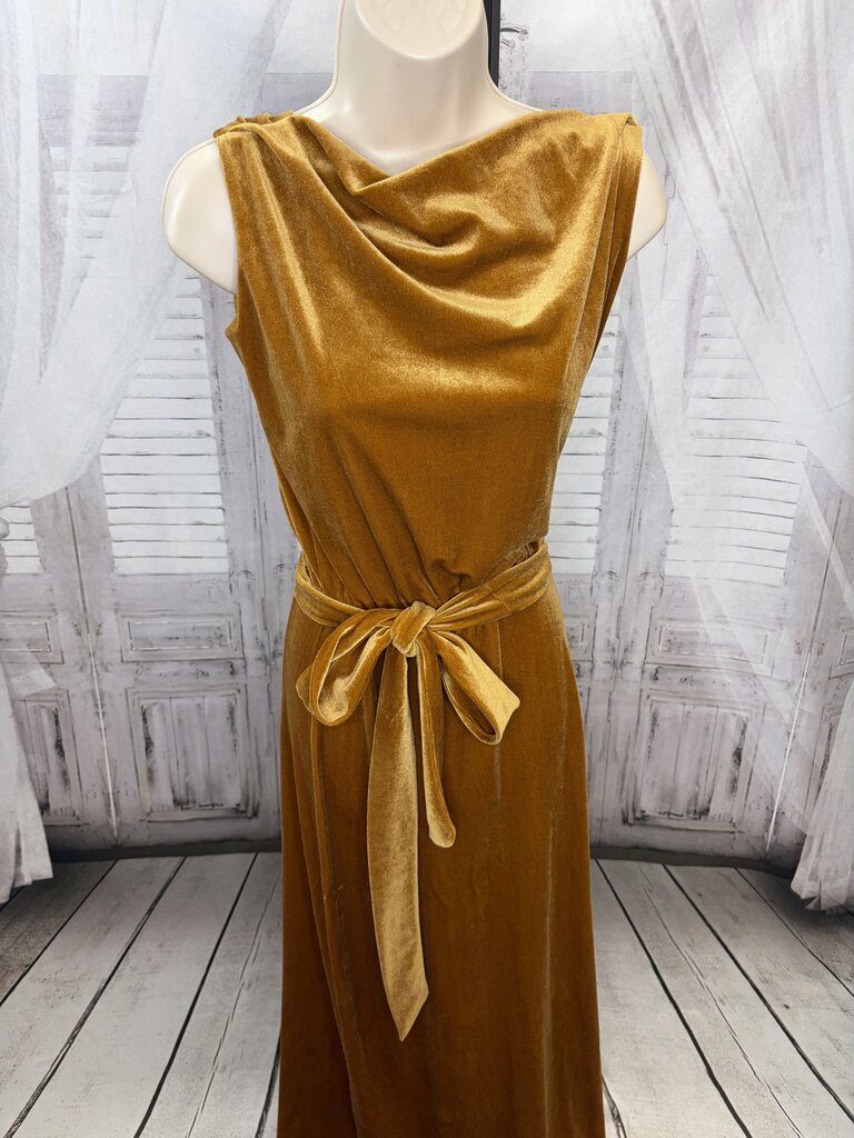 Velvet Cowlneck Maxi