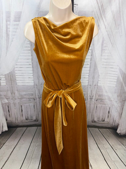 Velvet Cowlneck Maxi