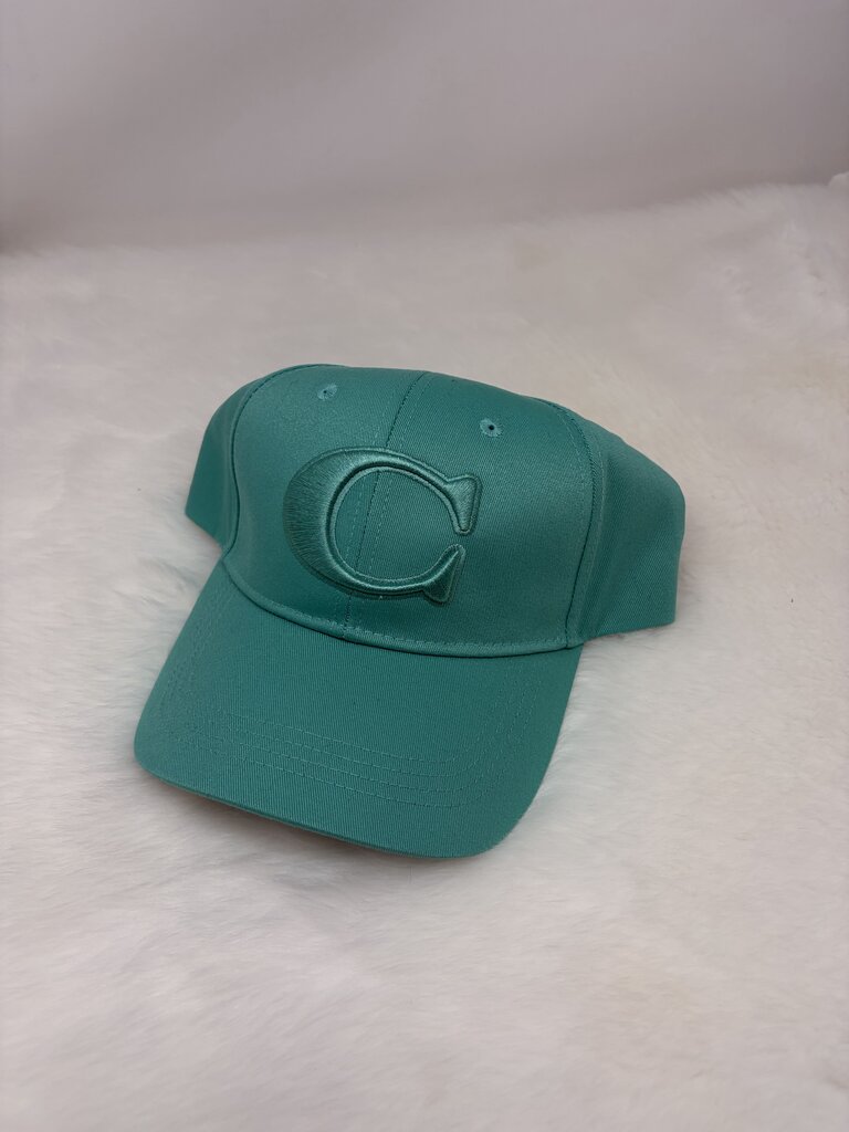 NWT Baseball Cap