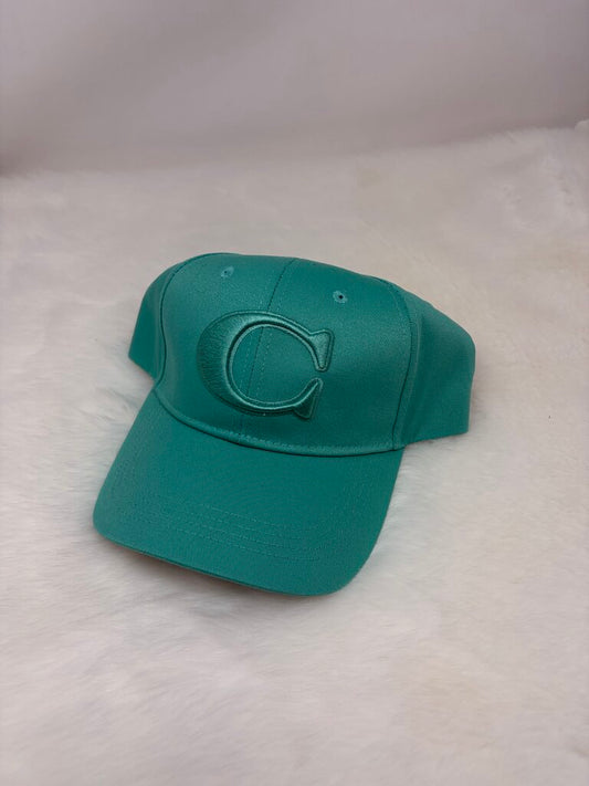 NWT Baseball Cap