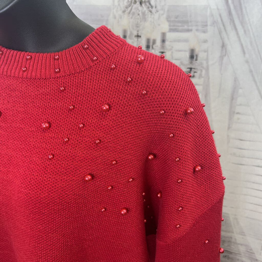 NWT Pearl Knit Sweater