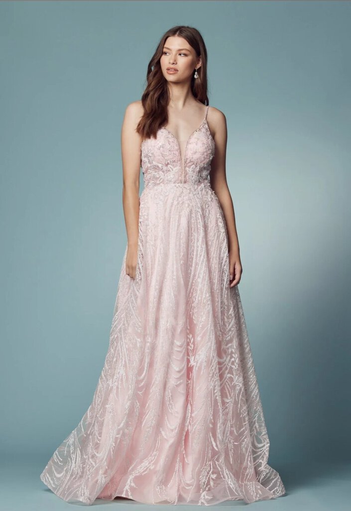 SMC Embroidered Lace Illusion V-Neck A-Line Long Prom Dress