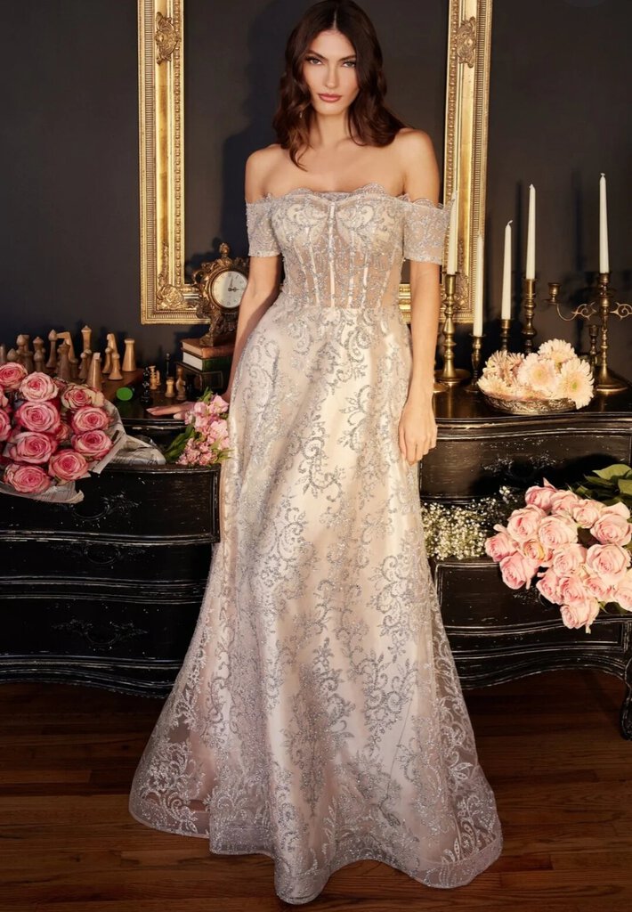 Smc Fashion Off The Shoulder Sheer Sequin Bodice Appliqu glitter print a-line Prom Formal Dress