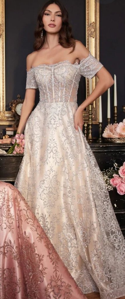 Smc Fashion Off The Shoulder Sheer Sequin Bodice Appliqu glitter print a-line Prom Formal Dress
